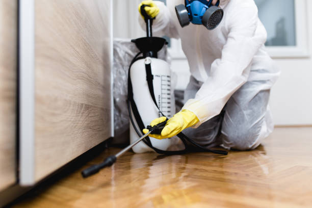 Best Emergency Pest Control  in Cannon Af, NM