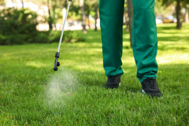 Best Termite Control Services  in Cannon Af, NM
