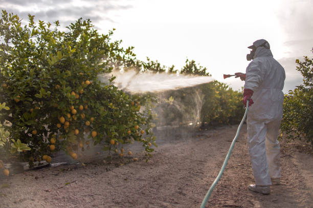 Professional Pest Control in Cannon Af, NM
