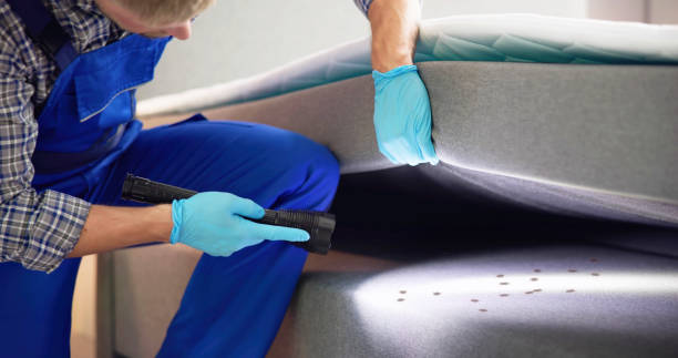 Best Cockroach Control Services  in Cannon Af, NM