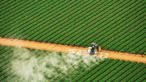 Best Pest Removal Services  in Cannon Af, NM